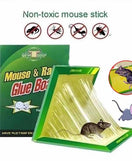 Pack of 3 Mouse Glue Traps Expert Catch