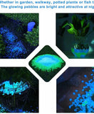 Magical Luminous Glowing Stones Pack Of 100pcs