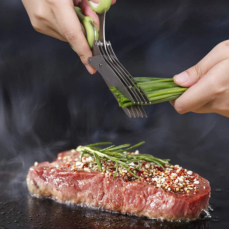 Food Scissor Stainless Steel With Cleaning Comb