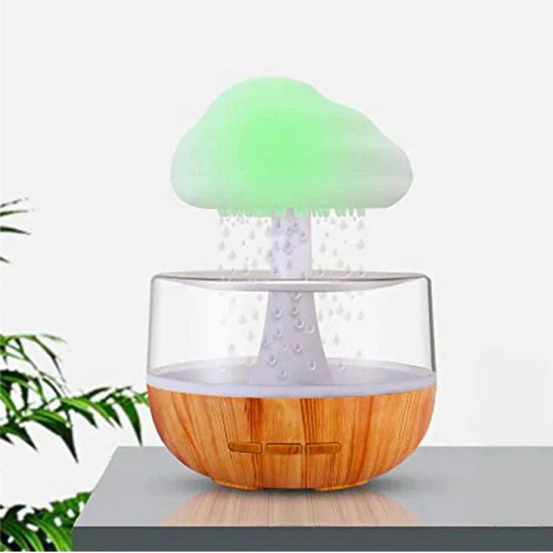 Rain Cloud Humidifier