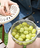 2 In 1 Foldable Strainer Bowl With Handle