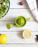 Playful Watering Lemon Juicer