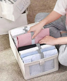 Wardrobe Foldable Storage Box