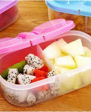 Food Container Box 2 Partition