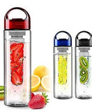 Fruit Infuser Detox Bottle 730ml