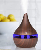 Aroma Diffuser Air Humidifier