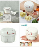 Mini Food Chopper