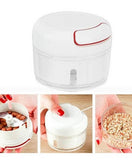 Mini Food Chopper