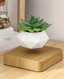 Magnetic Floating Flower Pot