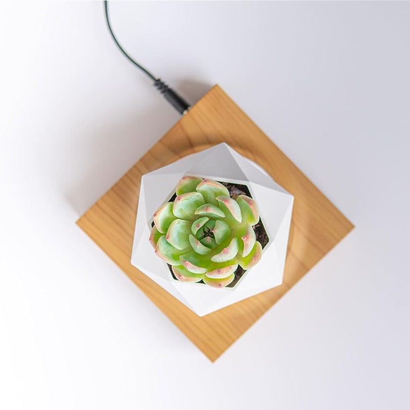 Magnetic Floating Flower Pot