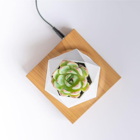 Magnetic Floating Flower Pot