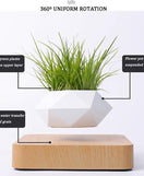 Magnetic Floating Flower Pot