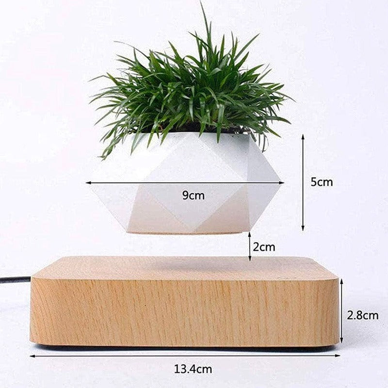 Magnetic Floating Flower Pot