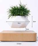 Magnetic Floating Flower Pot