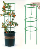 Plant Support Cage
